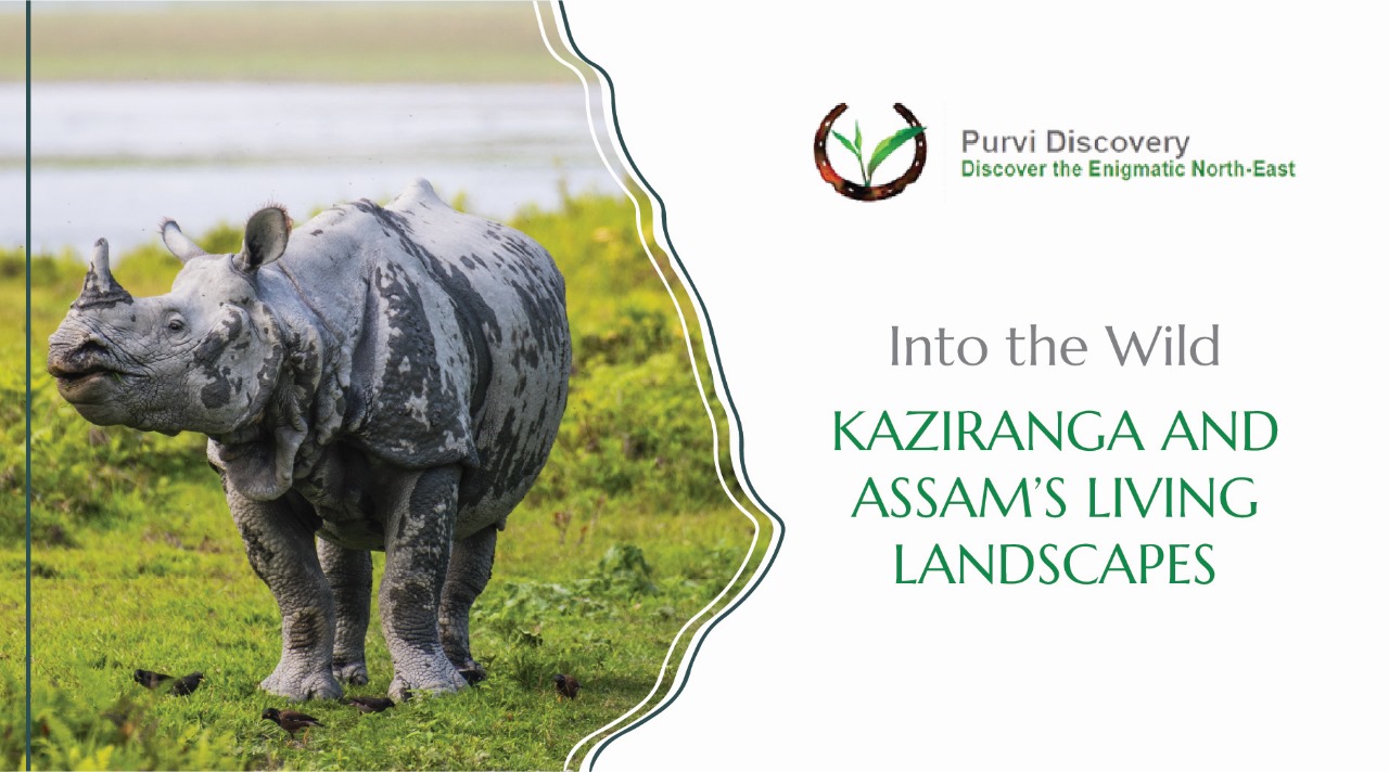 KAZIRANGA AND ASSAM’S LIVING LANDSCAPES