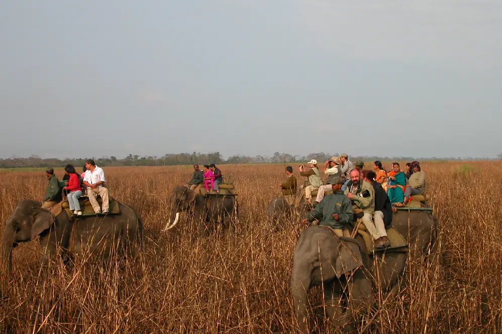 Assam Tour 4