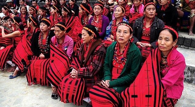 The Hornbill Festival: Nagaland’s Living Cultural Tapestry