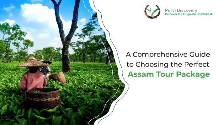 Assam tour packages