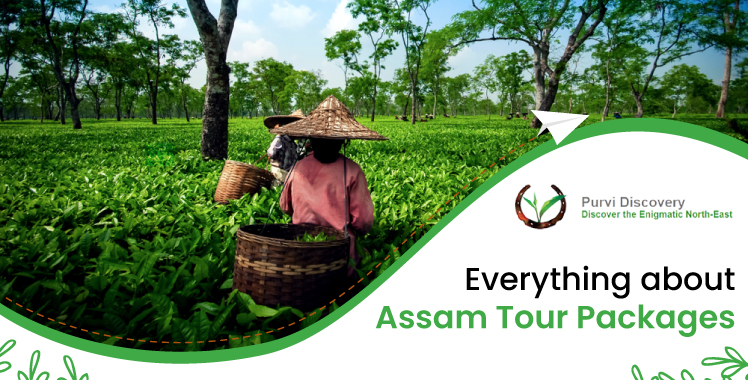Everything about Assam Tour Packages