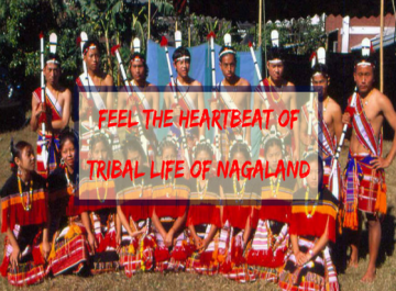 Feel the Heartbeat of Tribal life of Nagaland
