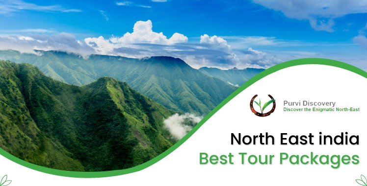 tour packages to north east india