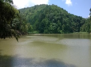 Tamdil Lake in Mizoram - Nature's Healing Touch