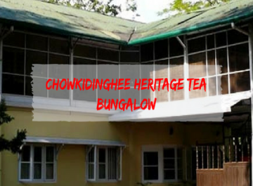 A Tea Loverâ€™s Heaven at Chowkidinghee, Assam