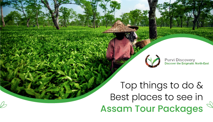 Assam Tour Packages