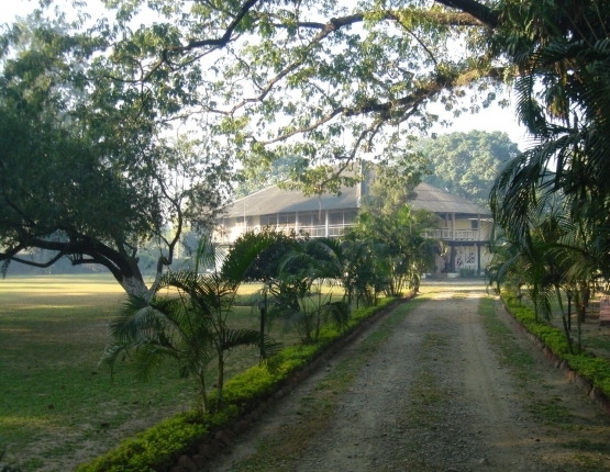 mancotta-heritage-tea-bungalow