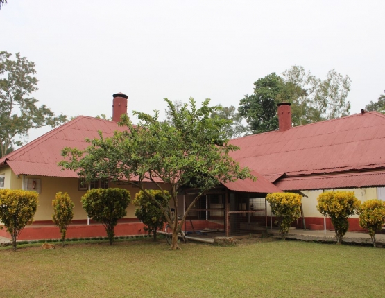 wathai-heritage-tea-bungalow