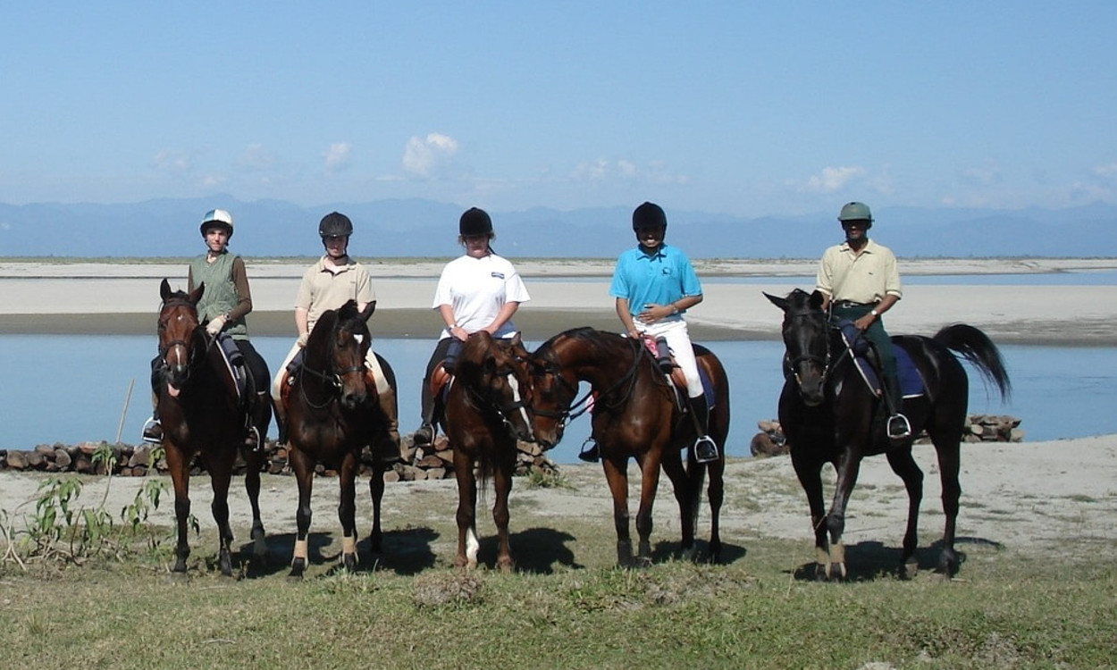 Horse Ride in Tea Bagan in Assam